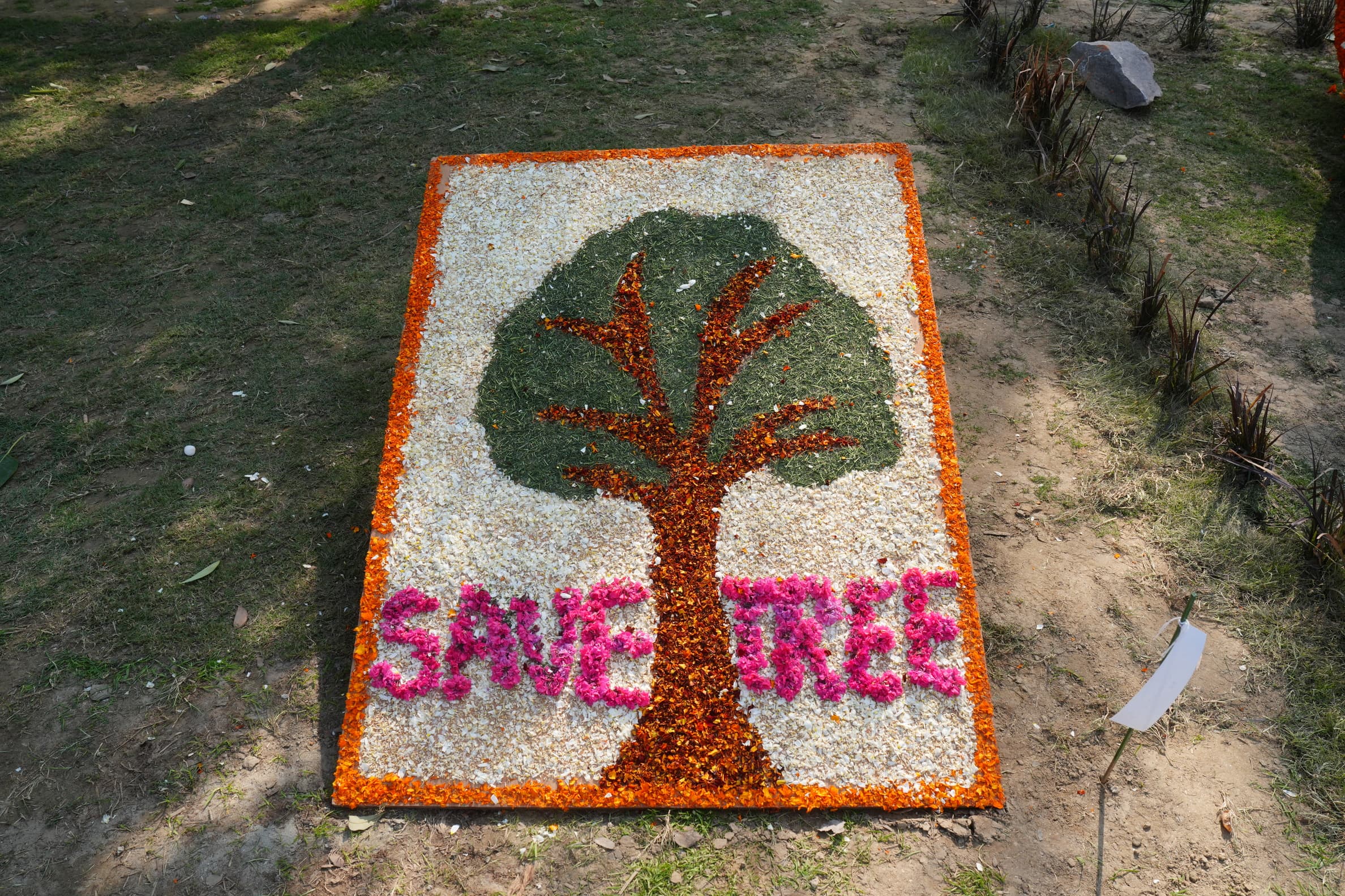 Palaash 2025 Phase I Photo 5